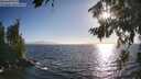 ./images/koeye/fitz-hugh/20260805/fitz-hugh20260805_185501M.jpg