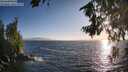 ./images/koeye/fitz-hugh/20260805/fitz-hugh20260805_194001M.jpg