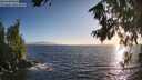 ./images/koeye/fitz-hugh/20260805/fitz-hugh20260805_195001M.jpg