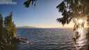 ./images/koeye/fitz-hugh/20260805/fitz-hugh20260805_202001M.jpg