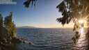 ./images/koeye/fitz-hugh/20260805/fitz-hugh20260805_202501M.jpg