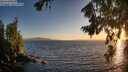 ./images/koeye/fitz-hugh/20260805/fitz-hugh20260805_203501M.jpg