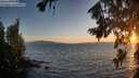 ./images/koeye/fitz-hugh/20260805/fitz-hugh20260805_205001M.jpg