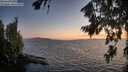 ./images/koeye/fitz-hugh/20260805/fitz-hugh20260805_212501M.jpg
