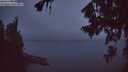 ./images/koeye/fitz-hugh/20260806/fitz-hugh20260806_052002M.jpg