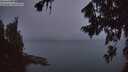 ./images/koeye/fitz-hugh/20260806/fitz-hugh20260806_053002M.jpg