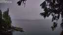 ./images/koeye/fitz-hugh/20260806/fitz-hugh20260806_054002M.jpg