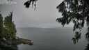 ./images/koeye/fitz-hugh/20260806/fitz-hugh20260806_061001M.jpg
