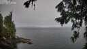./images/koeye/fitz-hugh/20260806/fitz-hugh20260806_063002M.jpg