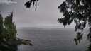 ./images/koeye/fitz-hugh/20260806/fitz-hugh20260806_070501M.jpg