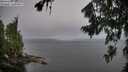 ./images/koeye/fitz-hugh/20260806/fitz-hugh20260806_073501M.jpg