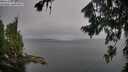 ./images/koeye/fitz-hugh/20260806/fitz-hugh20260806_074501M.jpg