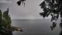 ./images/koeye/fitz-hugh/20260806/fitz-hugh20260806_081501M.jpg
