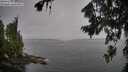 ./images/koeye/fitz-hugh/20260806/fitz-hugh20260806_083001M.jpg