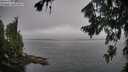 ./images/koeye/fitz-hugh/20260806/fitz-hugh20260806_085002M.jpg
