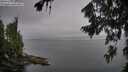 ./images/koeye/fitz-hugh/20260806/fitz-hugh20260806_093501M.jpg