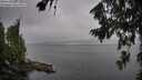 ./images/koeye/fitz-hugh/20260806/fitz-hugh20260806_094001M.jpg