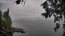 ./images/koeye/fitz-hugh/20260806/fitz-hugh20260806_094501M.jpg