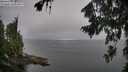 ./images/koeye/fitz-hugh/20260806/fitz-hugh20260806_095502M.jpg