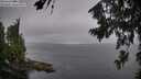 ./images/koeye/fitz-hugh/20260806/fitz-hugh20260806_100001M.jpg