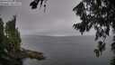 ./images/koeye/fitz-hugh/20260806/fitz-hugh20260806_100501M.jpg
