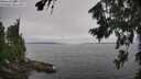 ./images/koeye/fitz-hugh/20260806/fitz-hugh20260806_111001M.jpg