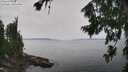 ./images/koeye/fitz-hugh/20260806/fitz-hugh20260806_124001M.jpg