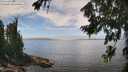 ./images/koeye/fitz-hugh/20260806/fitz-hugh20260806_131501M.jpg