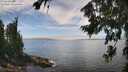 ./images/koeye/fitz-hugh/20260806/fitz-hugh20260806_132001M.jpg