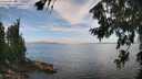 ./images/koeye/fitz-hugh/20260806/fitz-hugh20260806_132501M.jpg