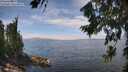 ./images/koeye/fitz-hugh/20260806/fitz-hugh20260806_134001M.jpg