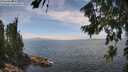 ./images/koeye/fitz-hugh/20260806/fitz-hugh20260806_135001M.jpg