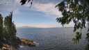 ./images/koeye/fitz-hugh/20260806/fitz-hugh20260806_135501M.jpg