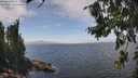 ./images/koeye/fitz-hugh/20260806/fitz-hugh20260806_140501M.jpg