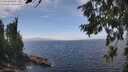 ./images/koeye/fitz-hugh/20260806/fitz-hugh20260806_141002M.jpg