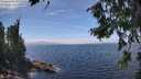./images/koeye/fitz-hugh/20260806/fitz-hugh20260806_141501M.jpg