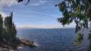 ./images/koeye/fitz-hugh/20260806/fitz-hugh20260806_142001M.jpg