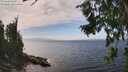 ./images/koeye/fitz-hugh/20260806/fitz-hugh20260806_143001M.jpg