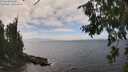 ./images/koeye/fitz-hugh/20260806/fitz-hugh20260806_144502M.jpg