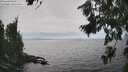 ./images/koeye/fitz-hugh/20260806/fitz-hugh20260806_155502M.jpg