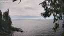 ./images/koeye/fitz-hugh/20260806/fitz-hugh20260806_160501M.jpg