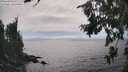 ./images/koeye/fitz-hugh/20260806/fitz-hugh20260806_161001M.jpg
