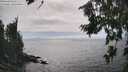 ./images/koeye/fitz-hugh/20260806/fitz-hugh20260806_161501M.jpg