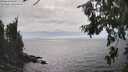 ./images/koeye/fitz-hugh/20260806/fitz-hugh20260806_162002M.jpg