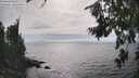 ./images/koeye/fitz-hugh/20260806/fitz-hugh20260806_163001M.jpg