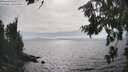 ./images/koeye/fitz-hugh/20260806/fitz-hugh20260806_164002M.jpg