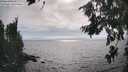 ./images/koeye/fitz-hugh/20260806/fitz-hugh20260806_171001M.jpg