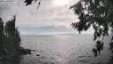 ./images/koeye/fitz-hugh/20260806/fitz-hugh20260806_172001M.jpg
