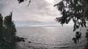 ./images/koeye/fitz-hugh/20260806/fitz-hugh20260806_173002M.jpg