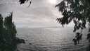 ./images/koeye/fitz-hugh/20260806/fitz-hugh20260806_174001M.jpg